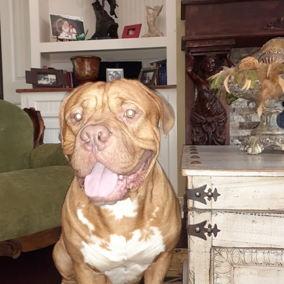 COPY - Meet your Posher, Jo - Picture 2 of 7